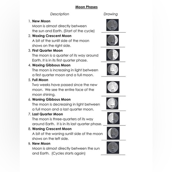 $6 Moon Stone Cat and Moon Necklace. $6 if bundled - Picture 14 of 15